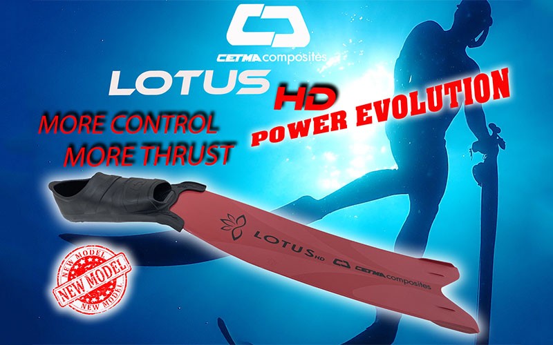 Perché scegliere LOTUS HD?